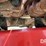 2011-drago-1230-image-20