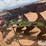 john-deere-8350-image-8