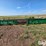 1995-john-deere-930-image-6