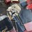 massey-ferguson-1085-image-12