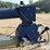 2022-harvest-international-h1082-image-13
