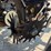 2008-kinze-3800sds-image-30