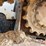 2019-bobcat-t870-image-13
