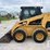 caterpillar-246-image-6