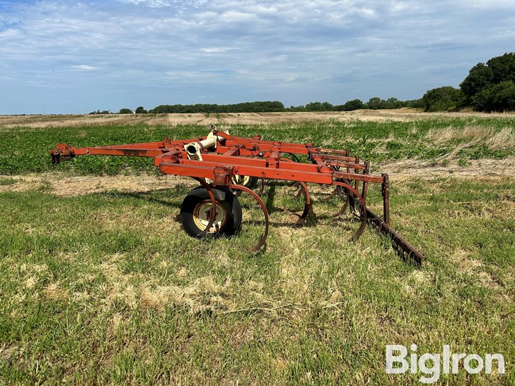 krause-14-image-8