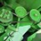 2012-john-deere-s660-image-89