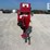 2013-westfield-mkx130-94-image-12