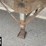 1999-great-dane-53'-x-102"-image-15