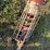 buhler-farm-king-846-image-8