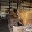 1953-caterpillar-d6-image-12