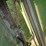 john-deere-40-image-13