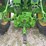 1969-john-deere-3020-image-20