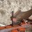 case-ih-5-image-13