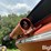 brent-420-image-20