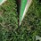 john-deere-3rn-image-11