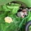 2018-john-deere-8400r-image-70