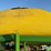 2013-john-deere-dr24-image-15