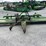 john-deere-1418-image-9