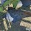 john-deere-4200-image-12