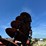 case-ih-496-image-16