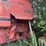 case-ih-1680-image-4