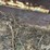 1990-rex-3-55b-image-17