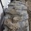 bobcat-m610-image-12