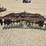 case-ih-10-image-5