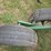 brillion-super-soil-builder-11-shank-disc-chisel-image-7