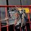 new-idea-484-image-4
