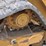2021-caterpillar-299d3-image-20