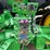 2013-john-deere-9510rt-image-14