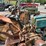 john-deere-b-image-6