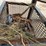 40’l-x-50”w-x-45”h-skidded-catwalk-image-7