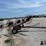 m&w-8-wheel-image-4