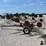 m&w-8-wheel-image-9