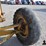 caterpillar-112-image-13