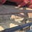 case-ih-1020-image-13