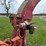 new-holland-790-image-11