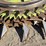 claas-orbis-600-image-10
