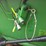 john-deere-920-image-21