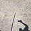 2003-international-durastar-4400-image-64
