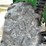 john-deere-gator-image-19