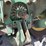 john-deere-670-image-32