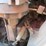 2021-massey-ferguson-1840e-image-31