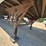 1981-great-dane-53'-x-102"-image-32
