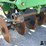 2009-john-deere-2510s-image-12