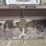 bobcat-m610-image-14