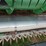 john-deere-920-image-14