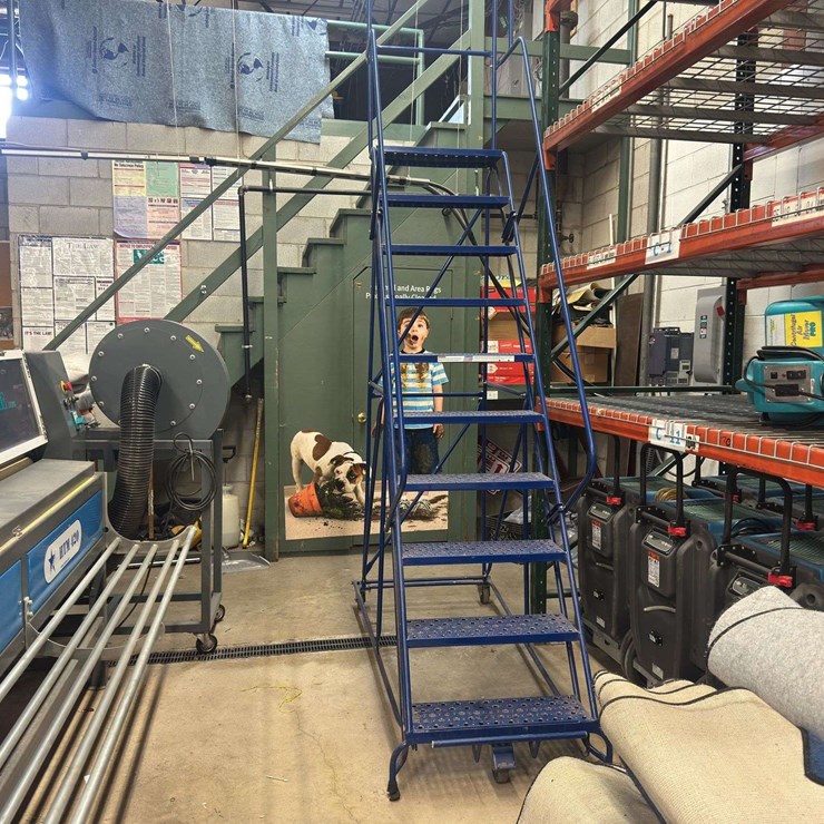 Steel Rolling Ladder